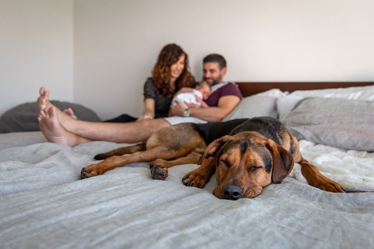 san-diego-california-newborn-photographer-robin-litrenta-63