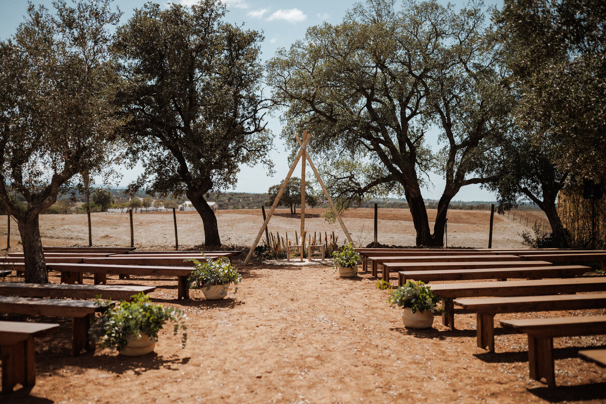 C261-b23252150137-o9446