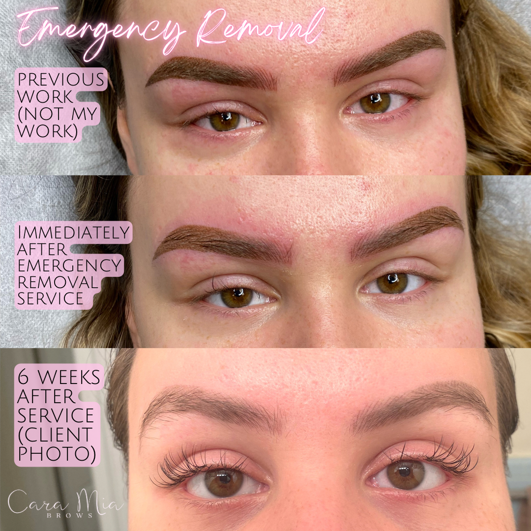 Ombre Powder Brows before and after