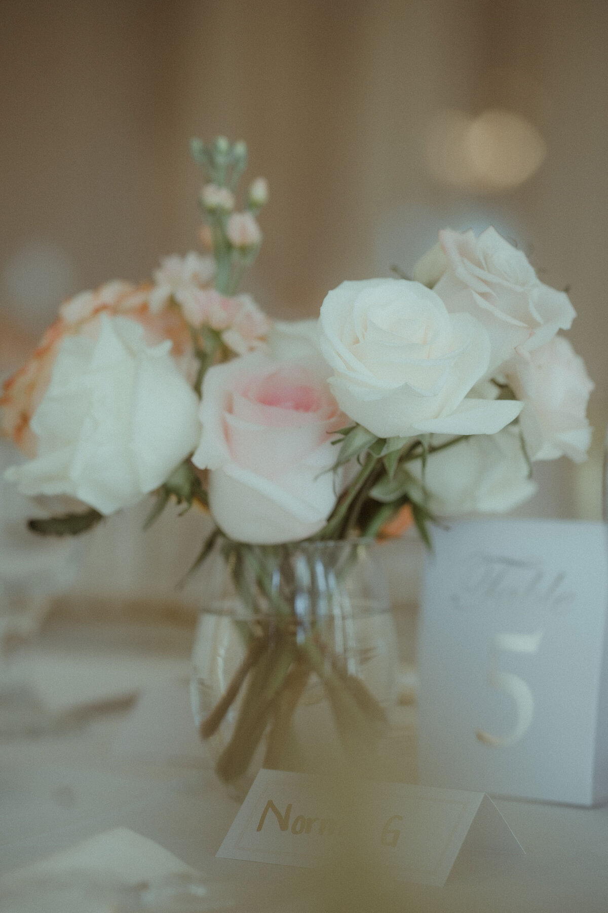 L&H_WED-183