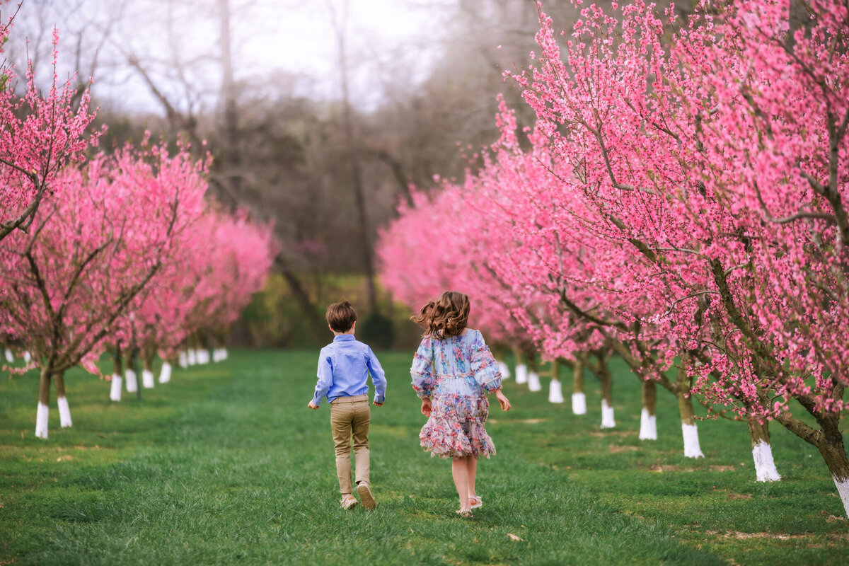 Raleigh-family-photographer-2089
