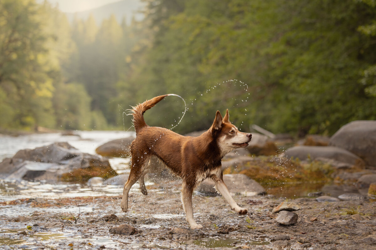 Kaori-Stewart_Cleo_Lower-Lewis-Falls_20240701__W3A8493_22179-Edit