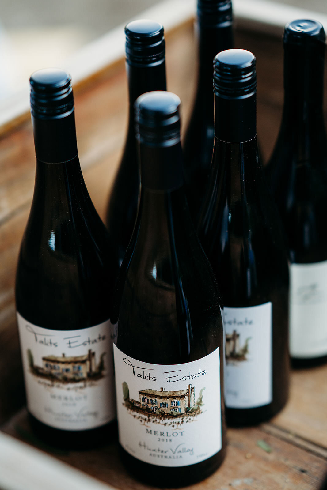Margan_Photography_Tallits_Estate_Hunter_Valley-151