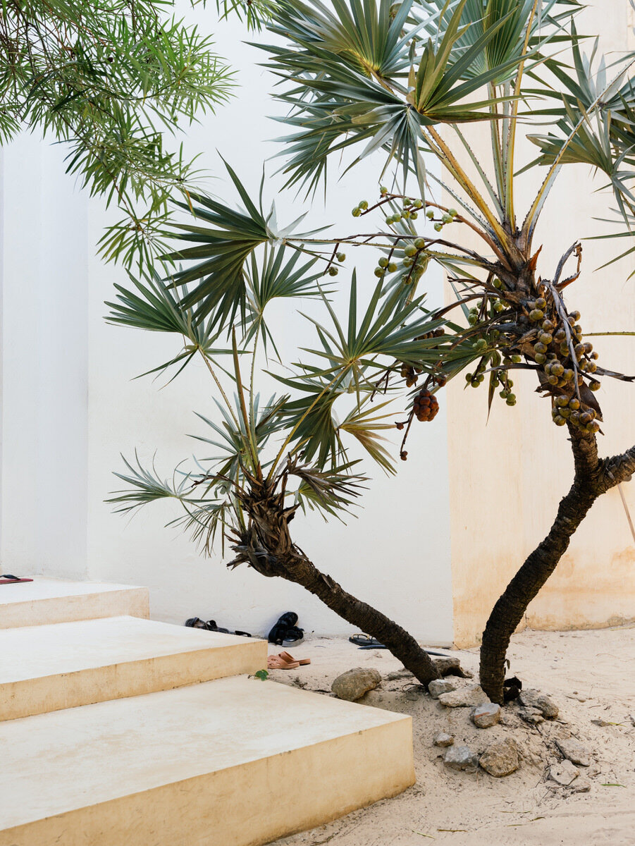 LEILA-BREWSTER-PHOTOGRAPHY-LAMU-002
