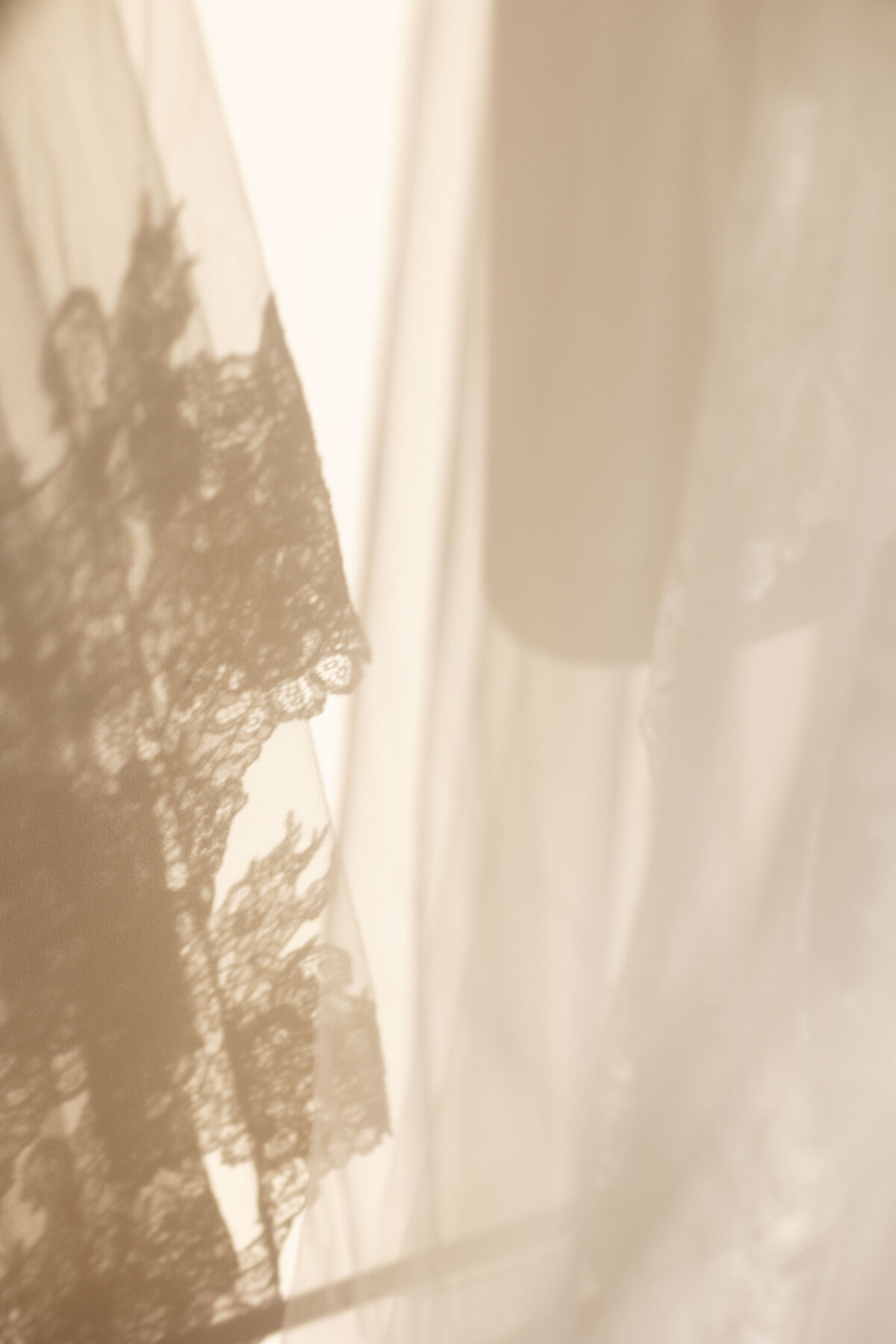 Kailee and Anthony Wedding- NPP0002
