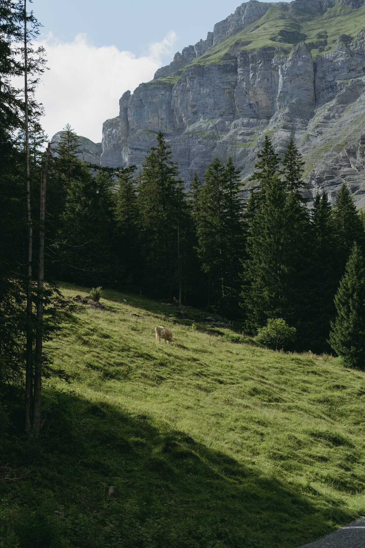switzerland-35
