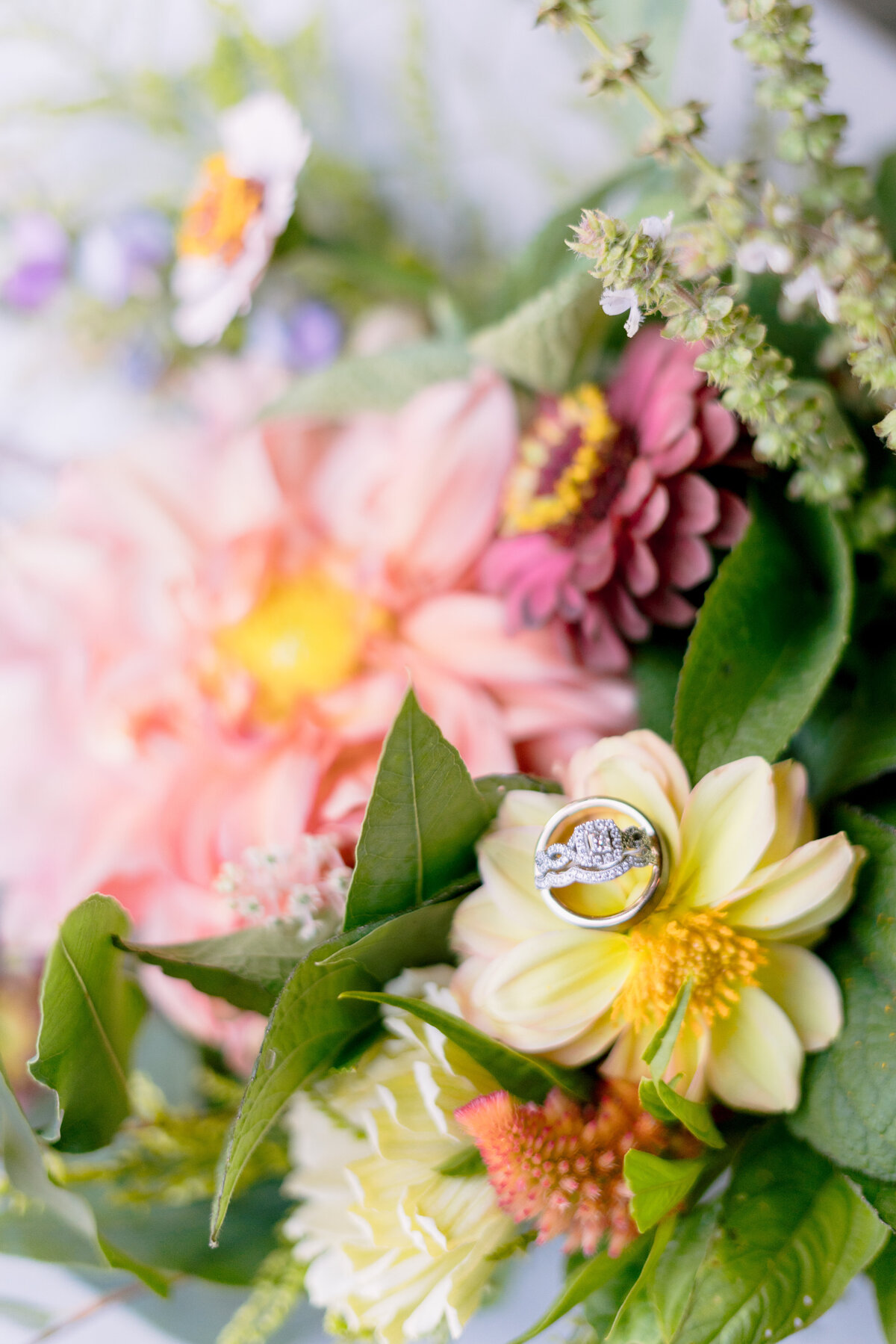 HewittWedding--5