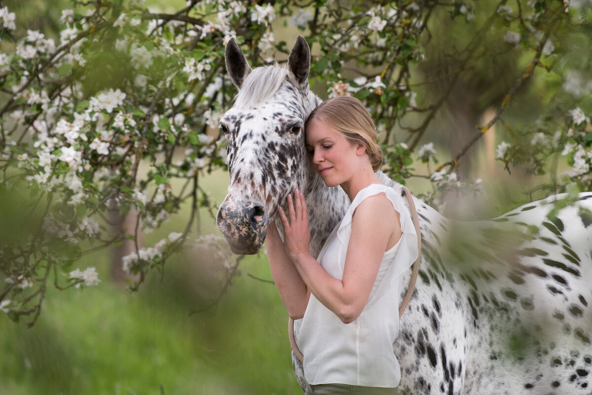 Pferdefotoshootung-mit-Mensch-Sommer-Knabstrupper-Hessen