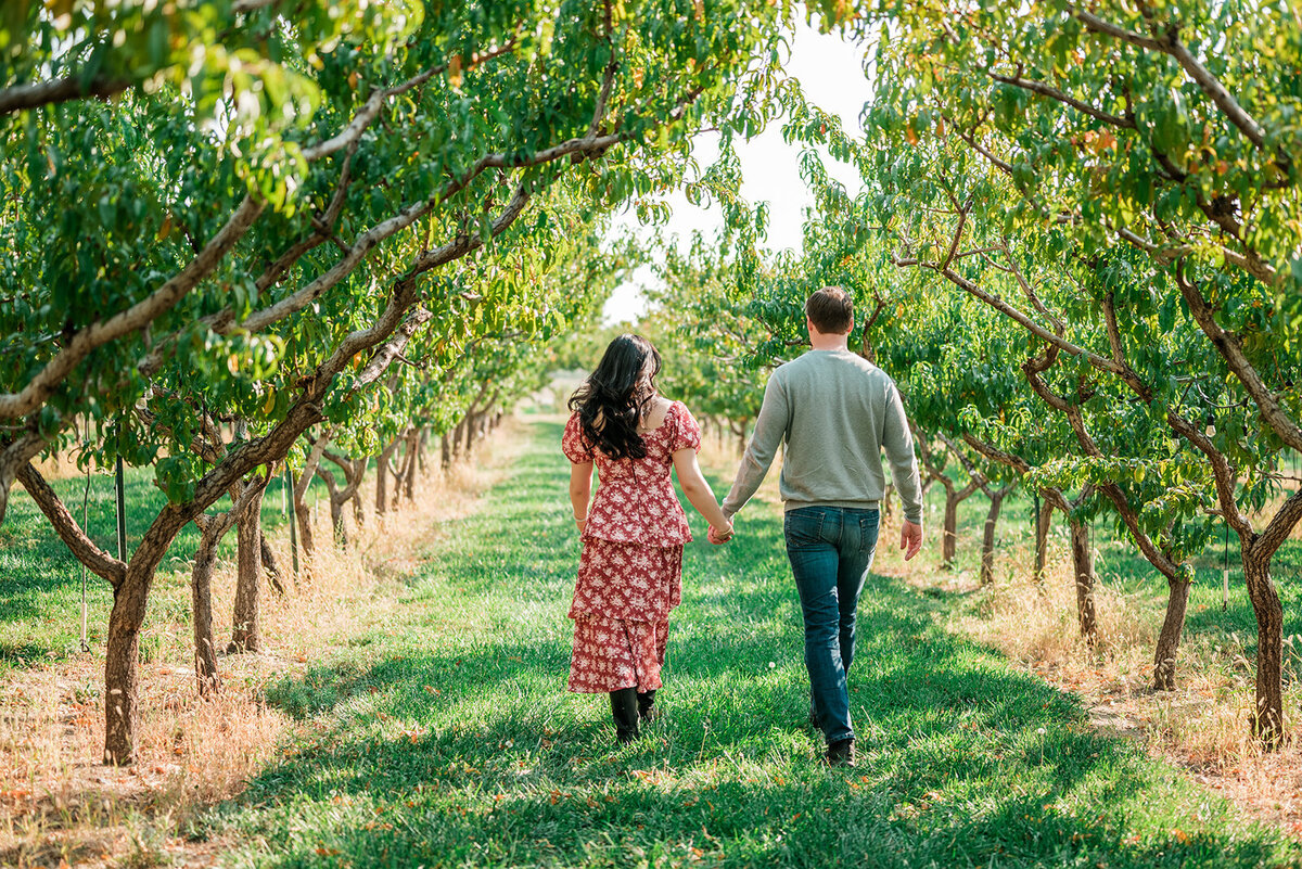 palisade-orchard-engagement-photos_0052_websize