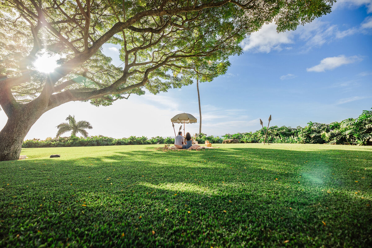 Hawaii-Engagement-Photos-Holualoa-Inn (61)
