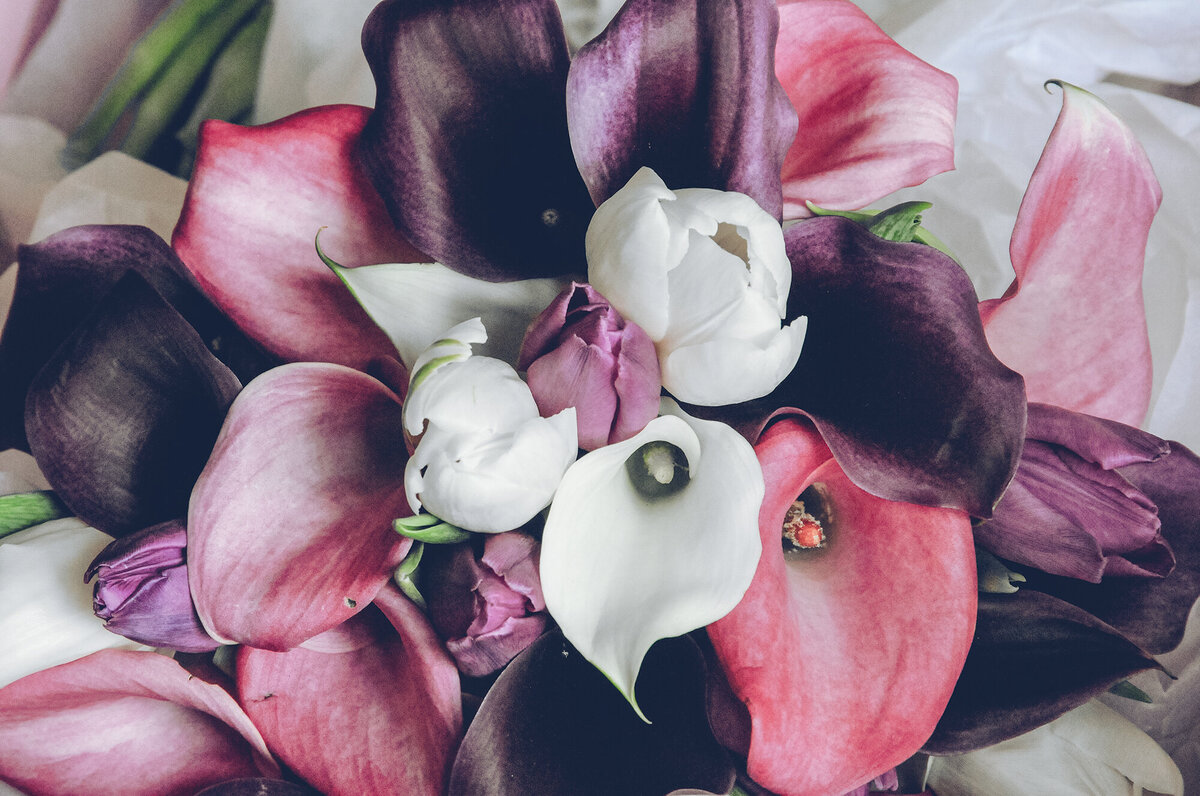 pro-story-photography_beautiful-wedding-bouquet-purples-pinks_mannamead-plymouth_devon