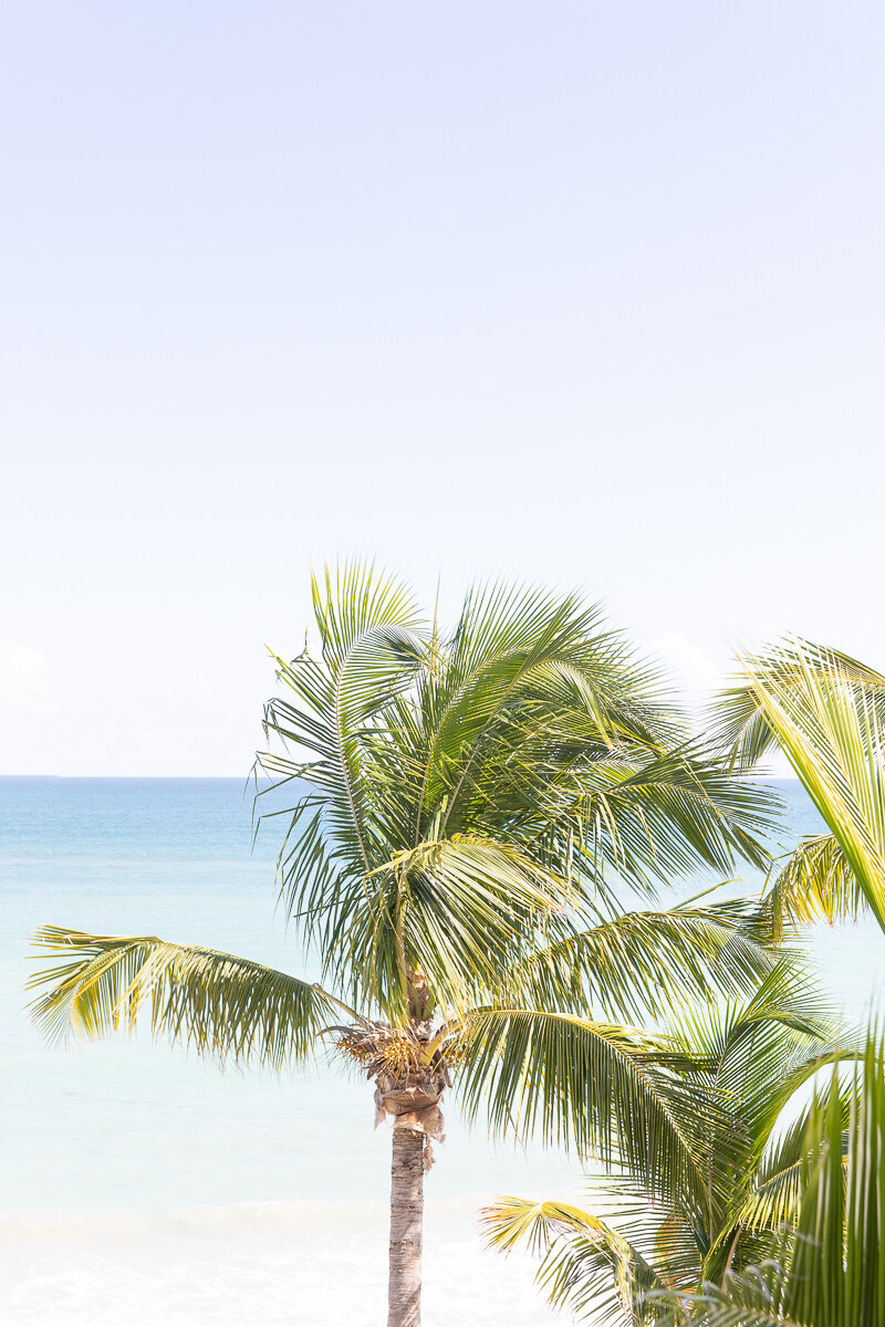 Chase & Christiana wedding at The Moorings | Images by Amalie Orrange Photography-4