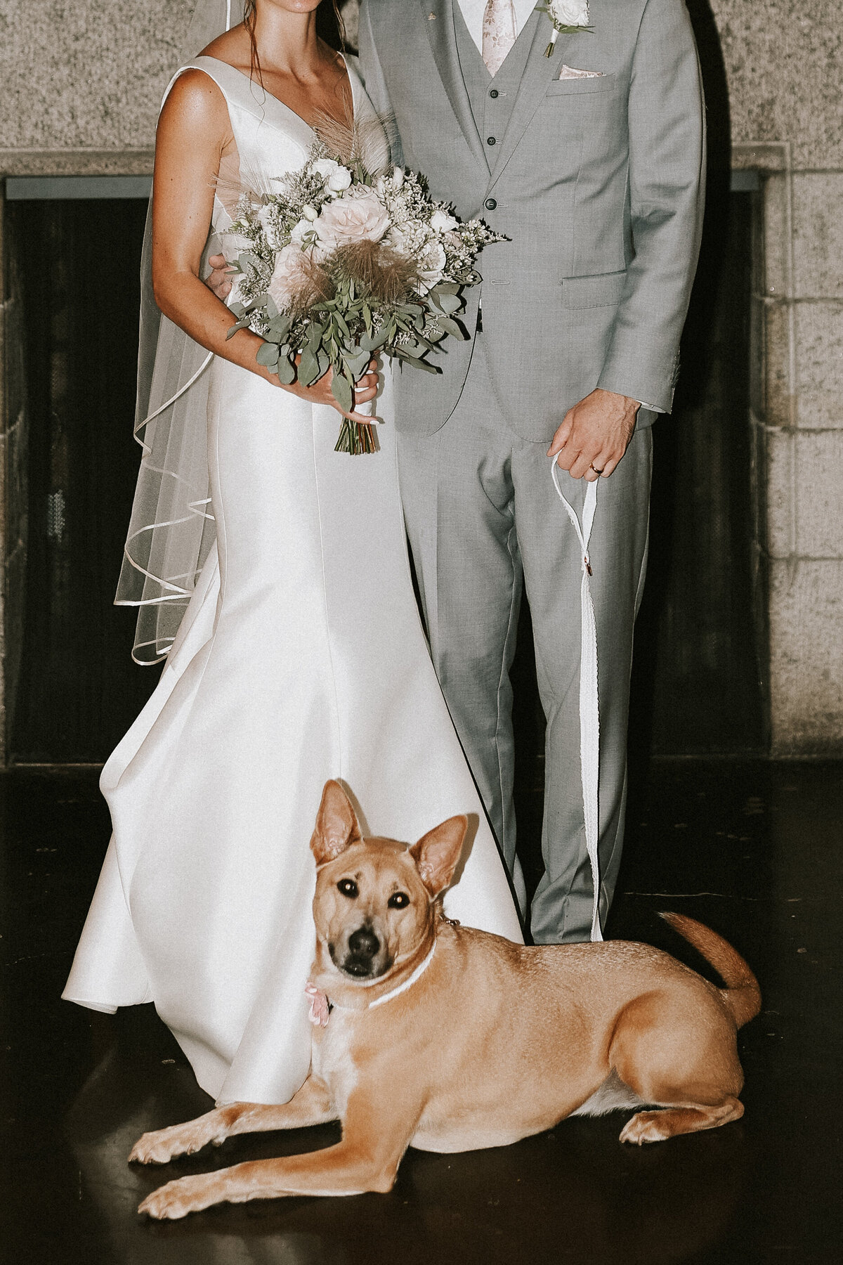 bride-and-groom-wedding-portrait-with-dog