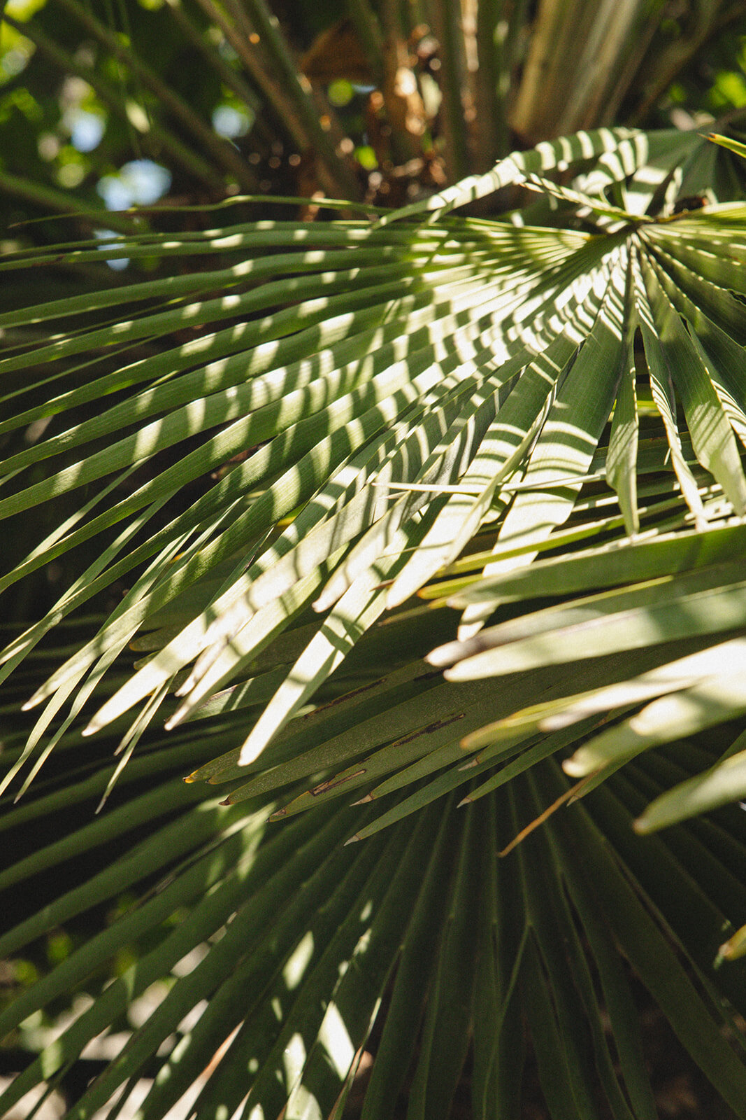 shelby-dubin-photography-travel22