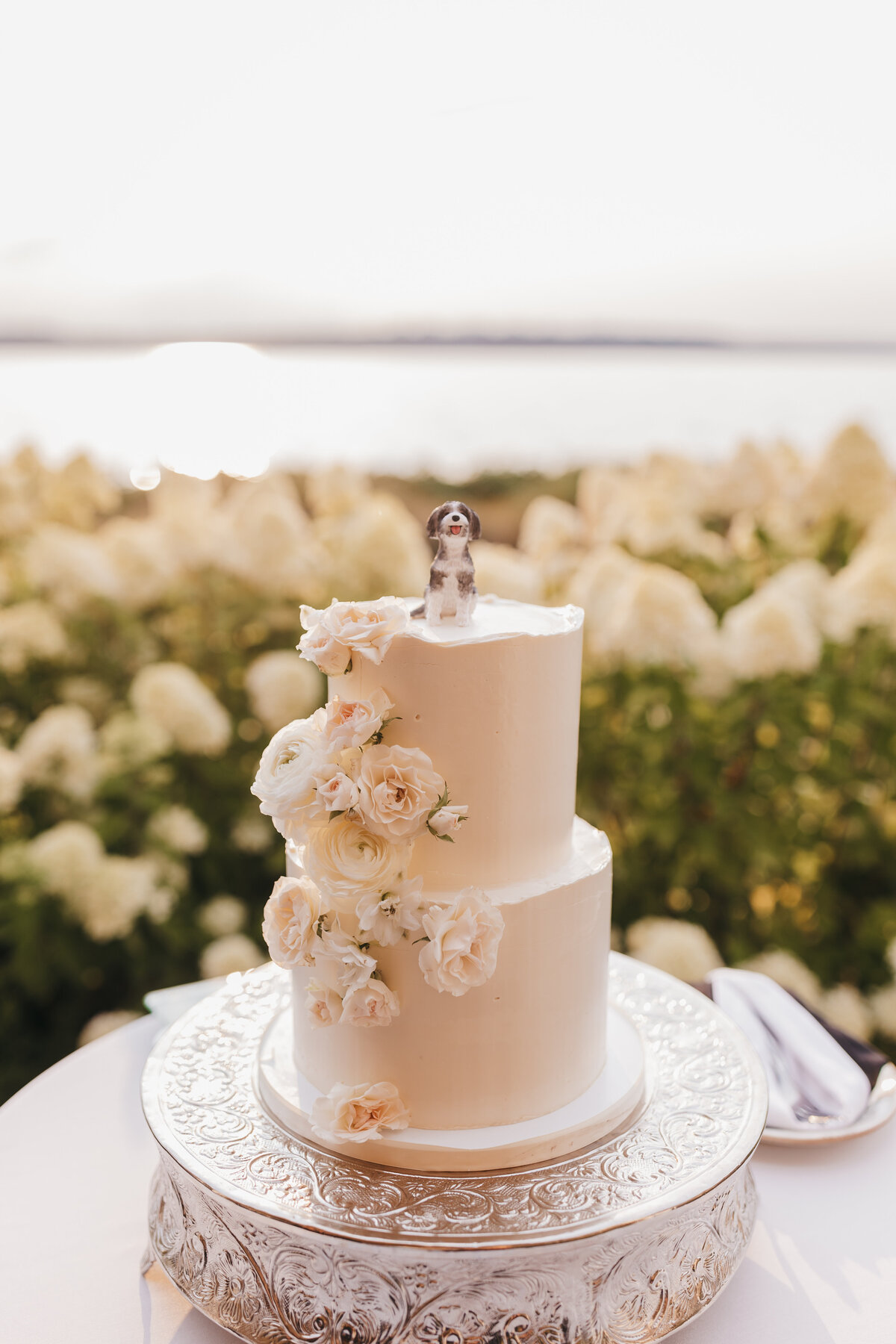 sjb-sarah-jane-bradley-photography-east-coast-wedding-photographer-243