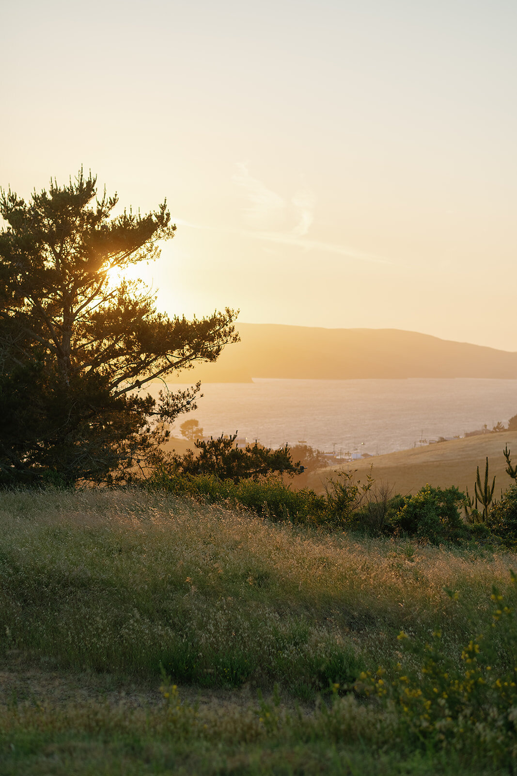 Rebecca+August-Lodge-at-Marconi-310