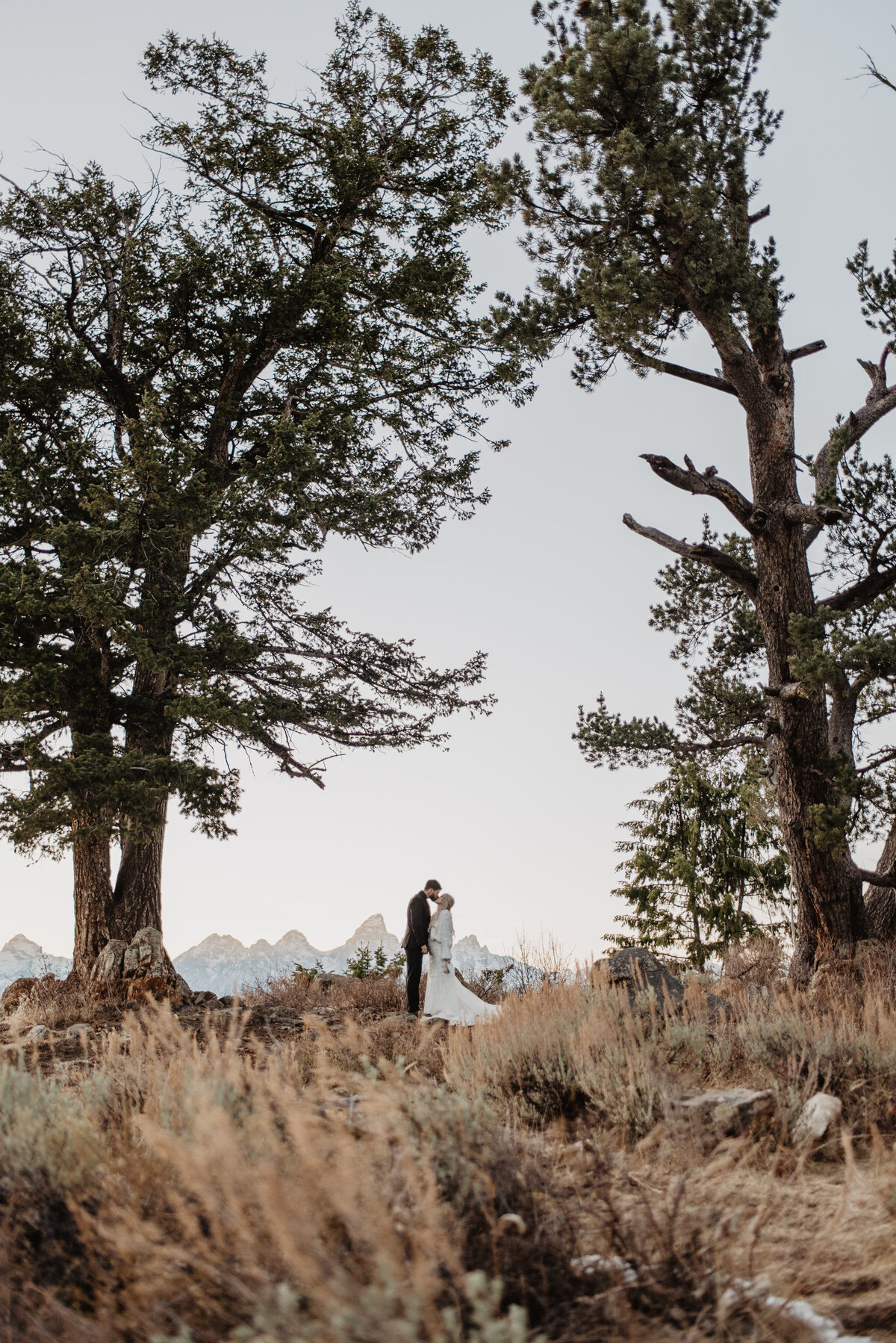 Jackson Hole Photographers capture couple kissing by tree