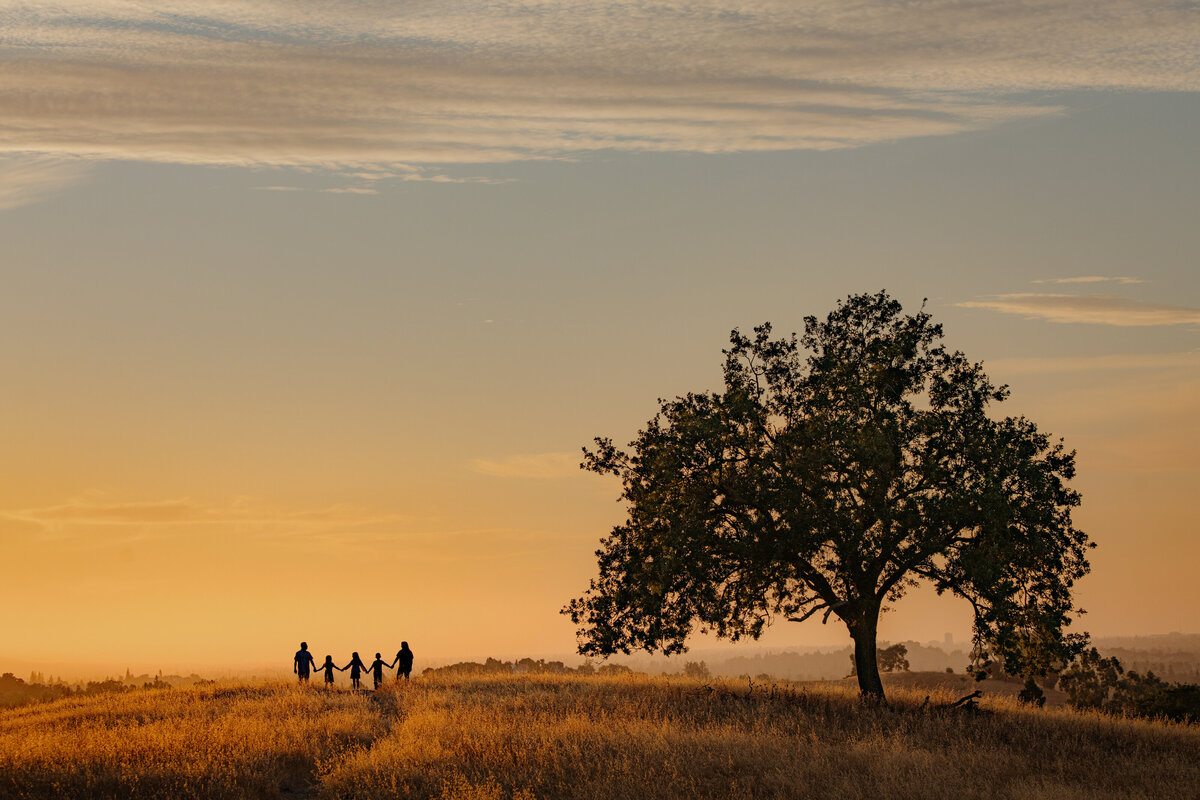 Almaden-Family-Session