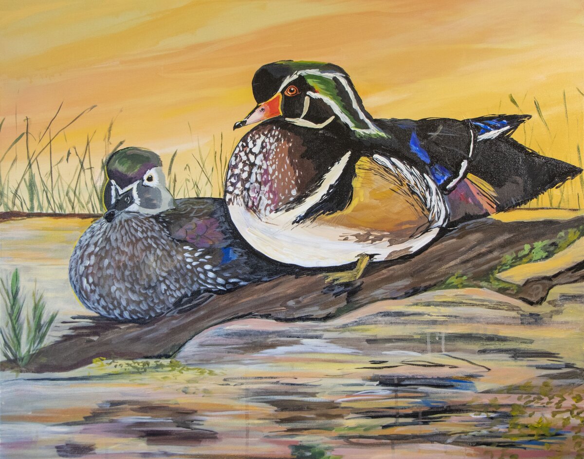duck_5