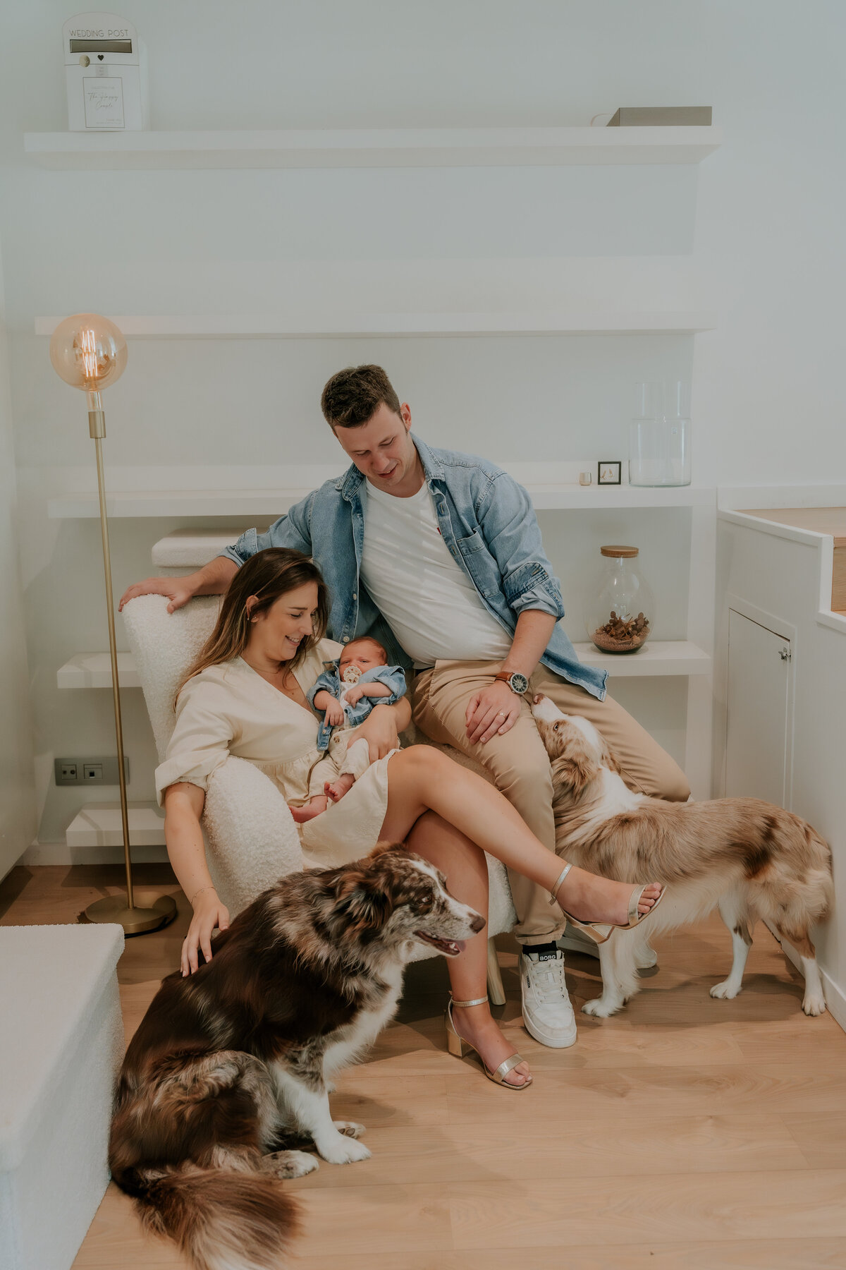Newbornshoot aan huis met huisdieren en de ouders te Asse.
