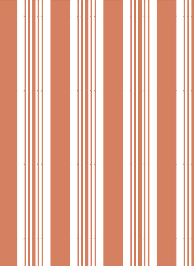 orange vertical stripe
