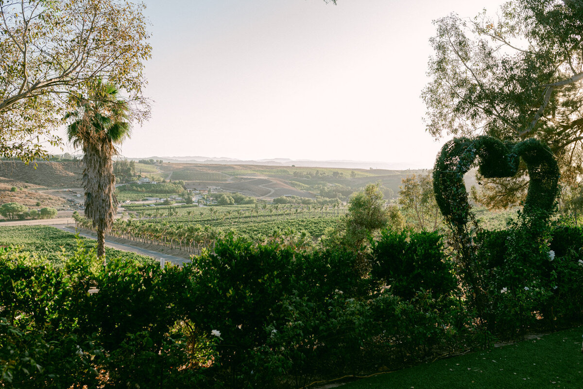 In the golden hills of Southern California, Adam and Bianca’s destination wedding unfolded with cinematic elegance at the renowned Falkner Winery—an estate where vines meet timeless vows. Captured through the refined lens of Michael Asmussen, an internationally recognized destination wedding photographer known for his editorial style and luxury storytelling, this celebration blended San Diego’s wine country charm with effortless sophistication. From sunlit portraits to curated design moments, every frame tells a story of intention, artistry, and romance. Michael’s work spans the most coveted destinations—Orange County, Palm Desert, Los Angeles, Tokyo, Las Vegas, Seoul, and beyond—crafted for modern couples who desire more than memories: they seek legacy.