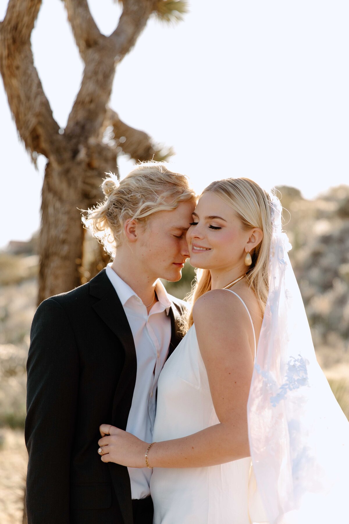 Elegant-Joshua-Tree-Elopement_0743