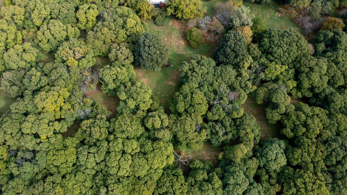 DJI_0947