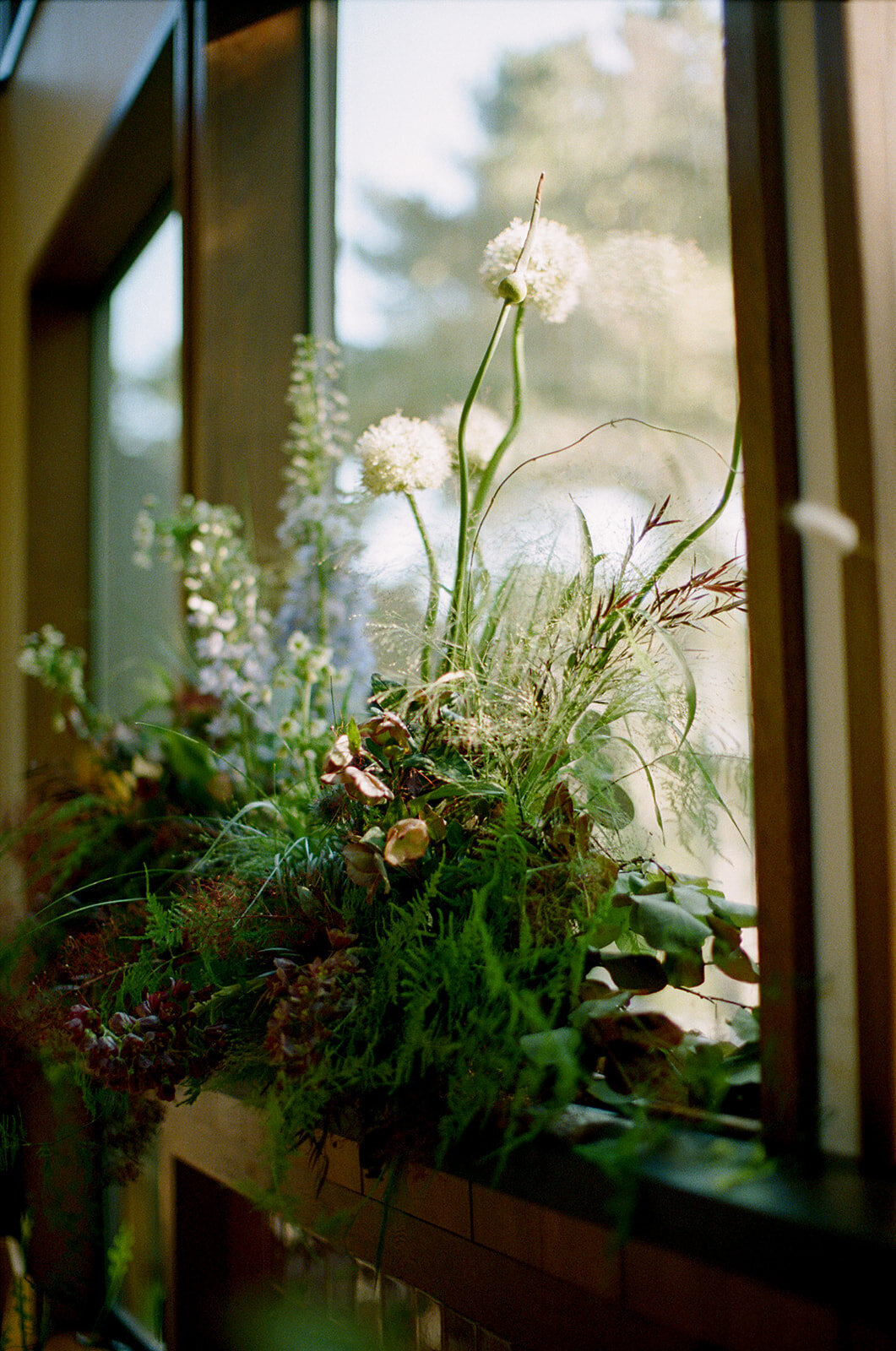 Rebecca+August-Lodge-at-Marconi-182