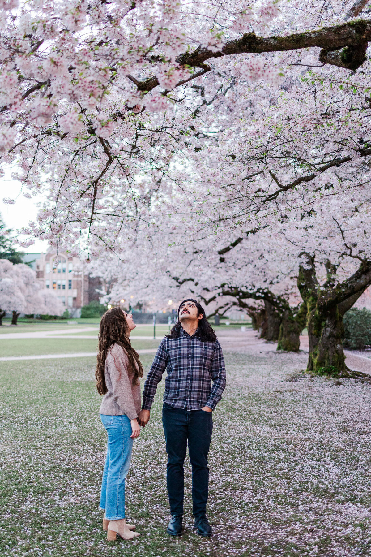 UW-Cherry-Blossoms-Engagement-Photos-24