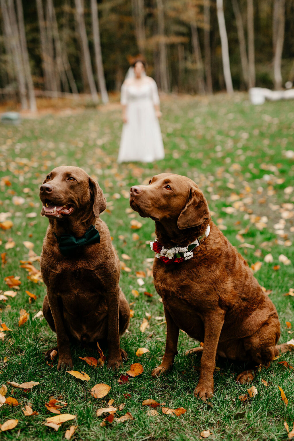 Kate_and_Josh_Wedding_237