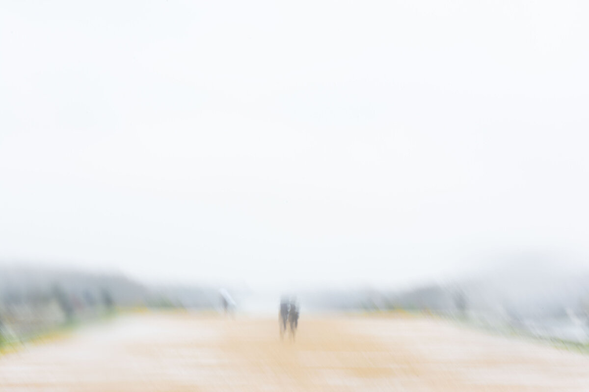 Versailles in the Rain, November, 2019-5