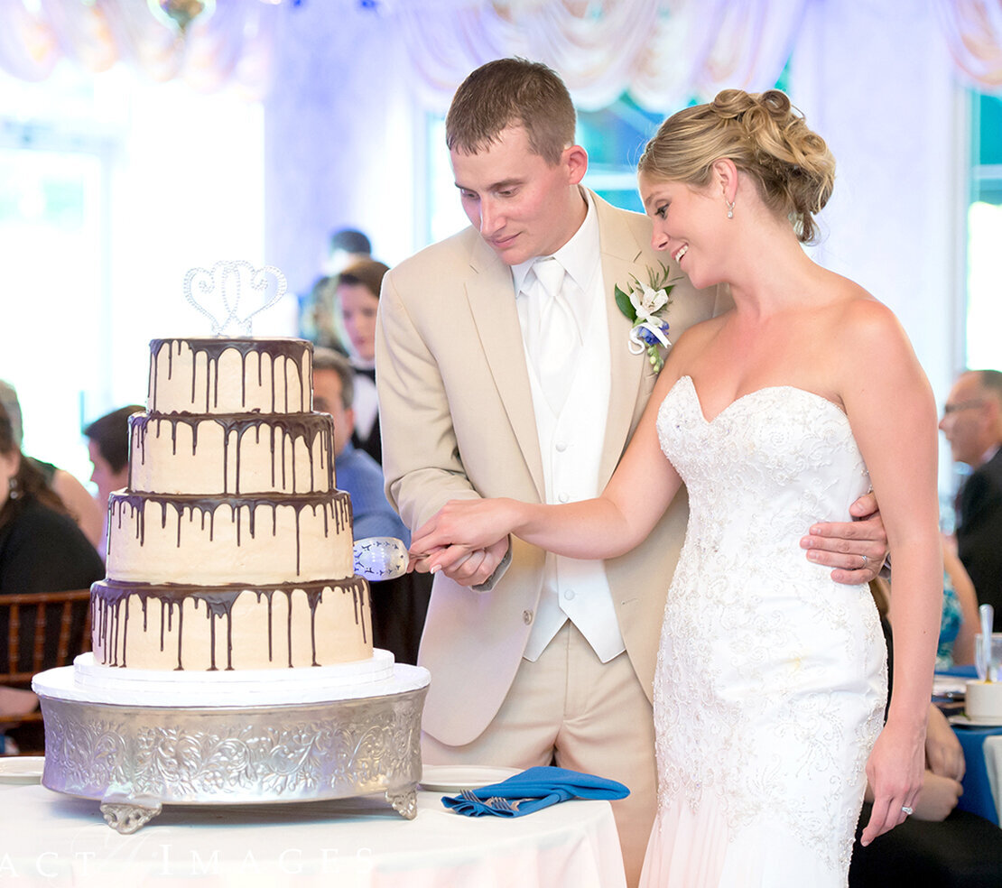 Cake Cutting