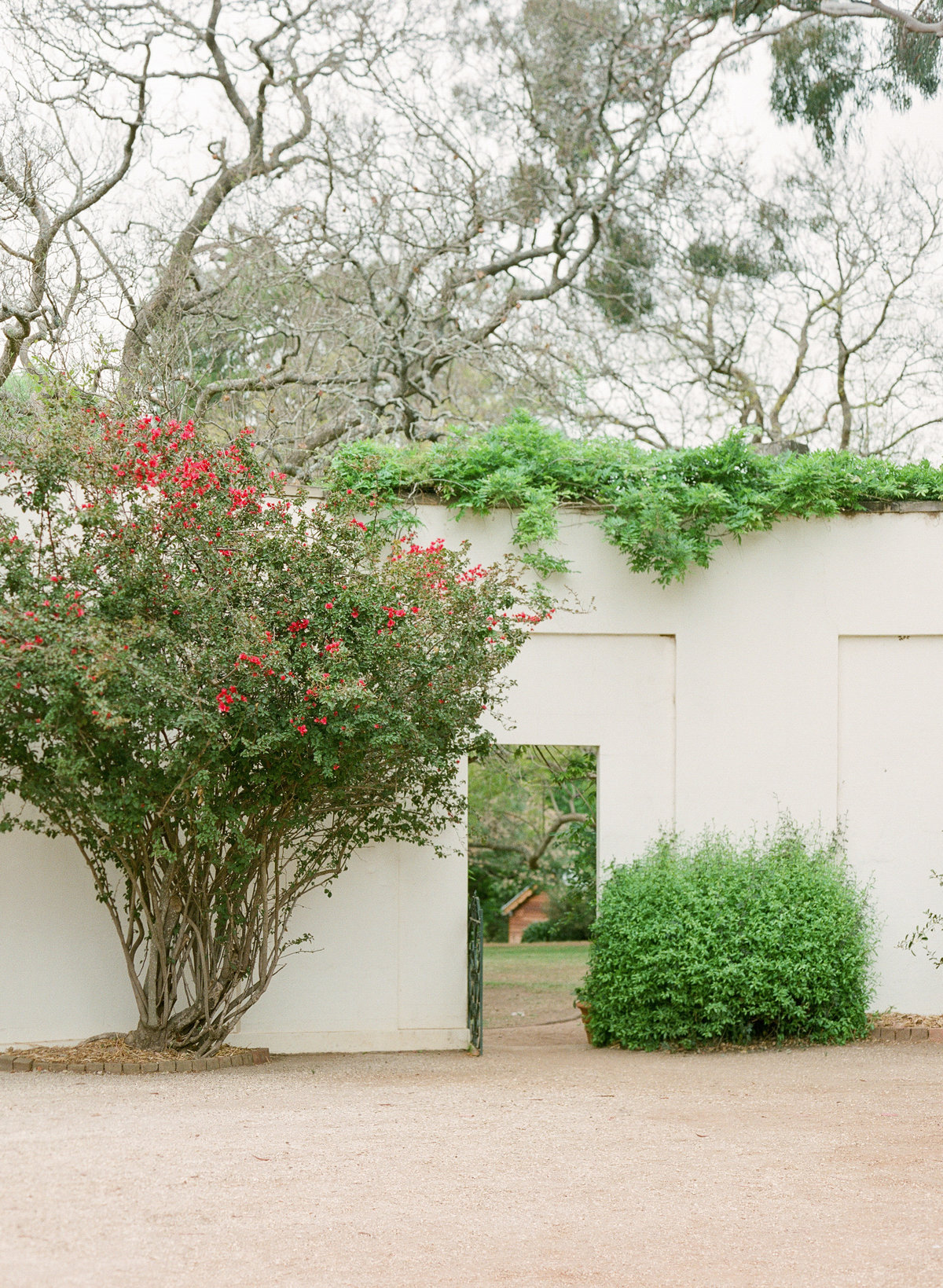 dreamy fine art wedding australia camden will capen 0034