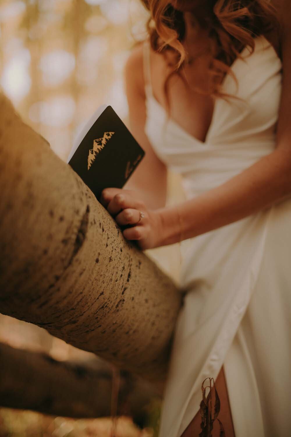 Andi_Nick_Ceremony_Celebrate-27