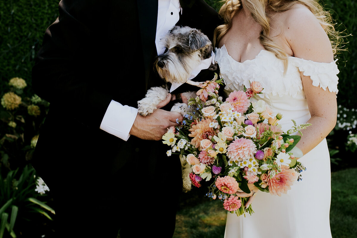 Hazelwood-photo-Portland-wedding-photograher-Aeire-eagle-landing-dog