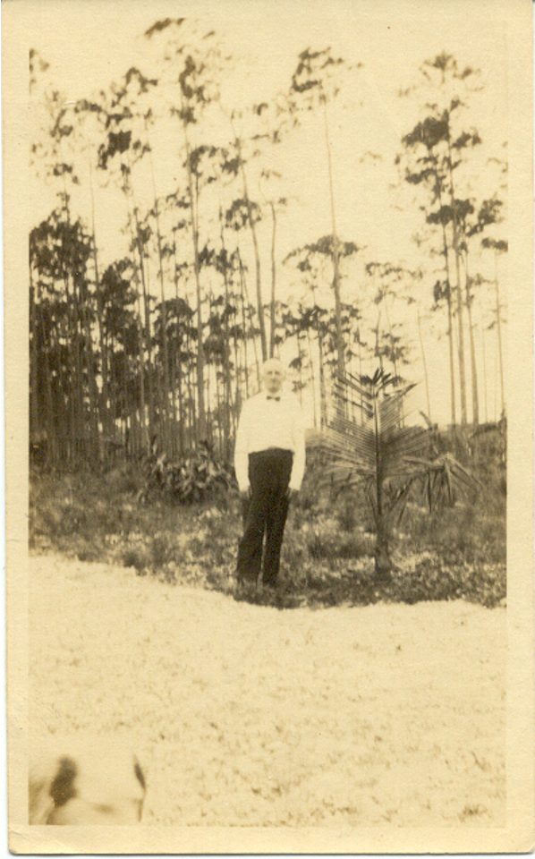 1914 beginnings of Palm Lodge standing on the pine woods