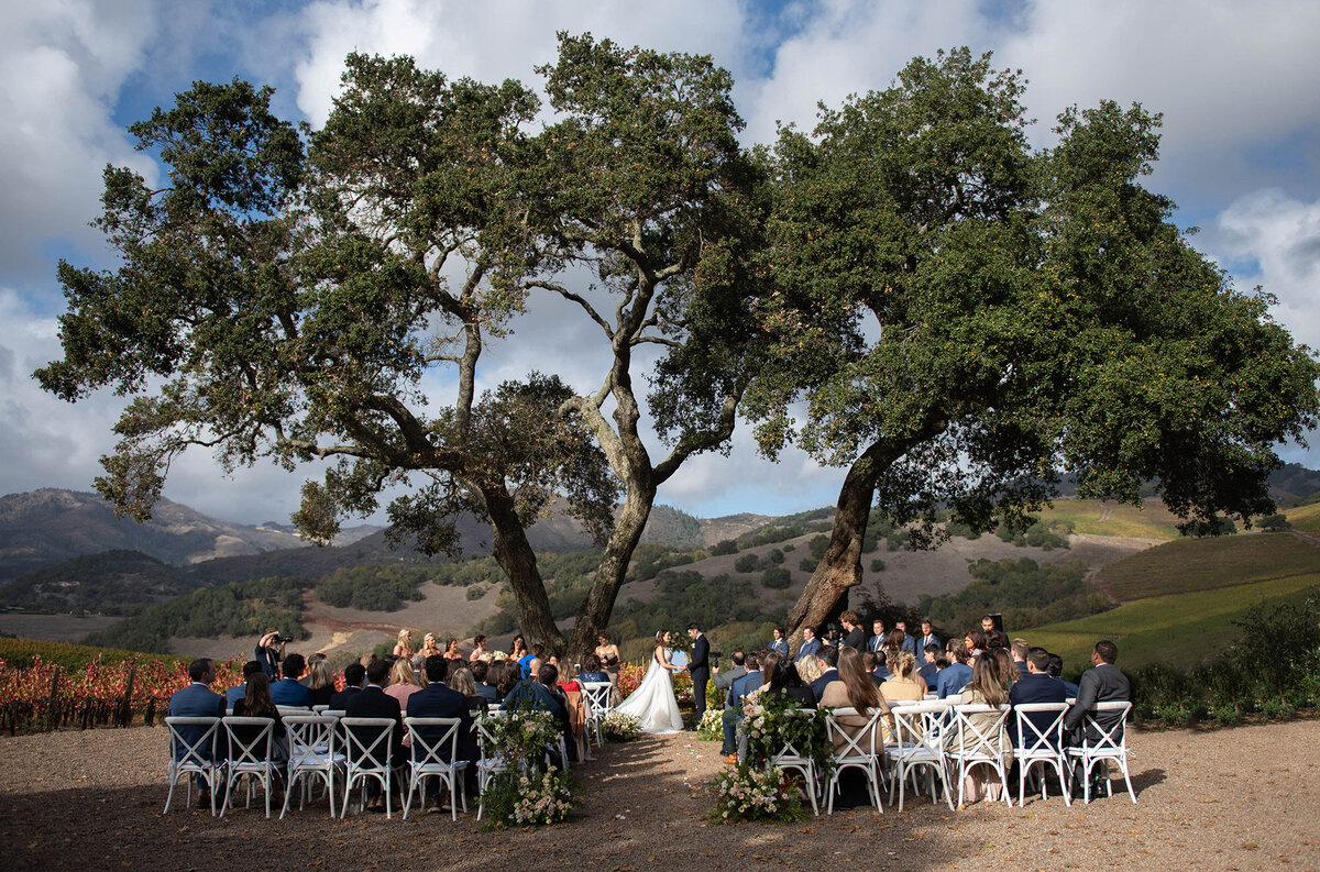 california-wedding
