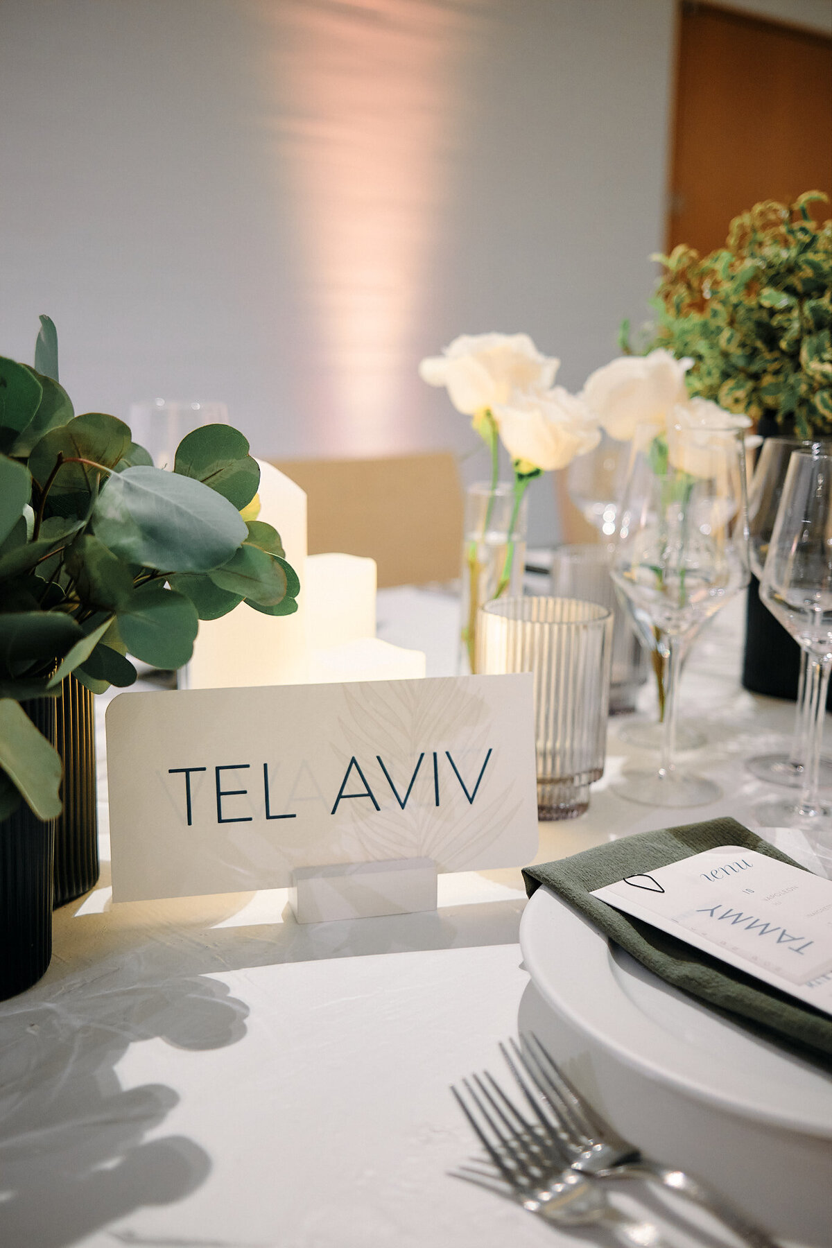 MagnoliaBluebird_BatMitzvah_TravelTheme_EliTurner_TheREACHKennedyCenter00004