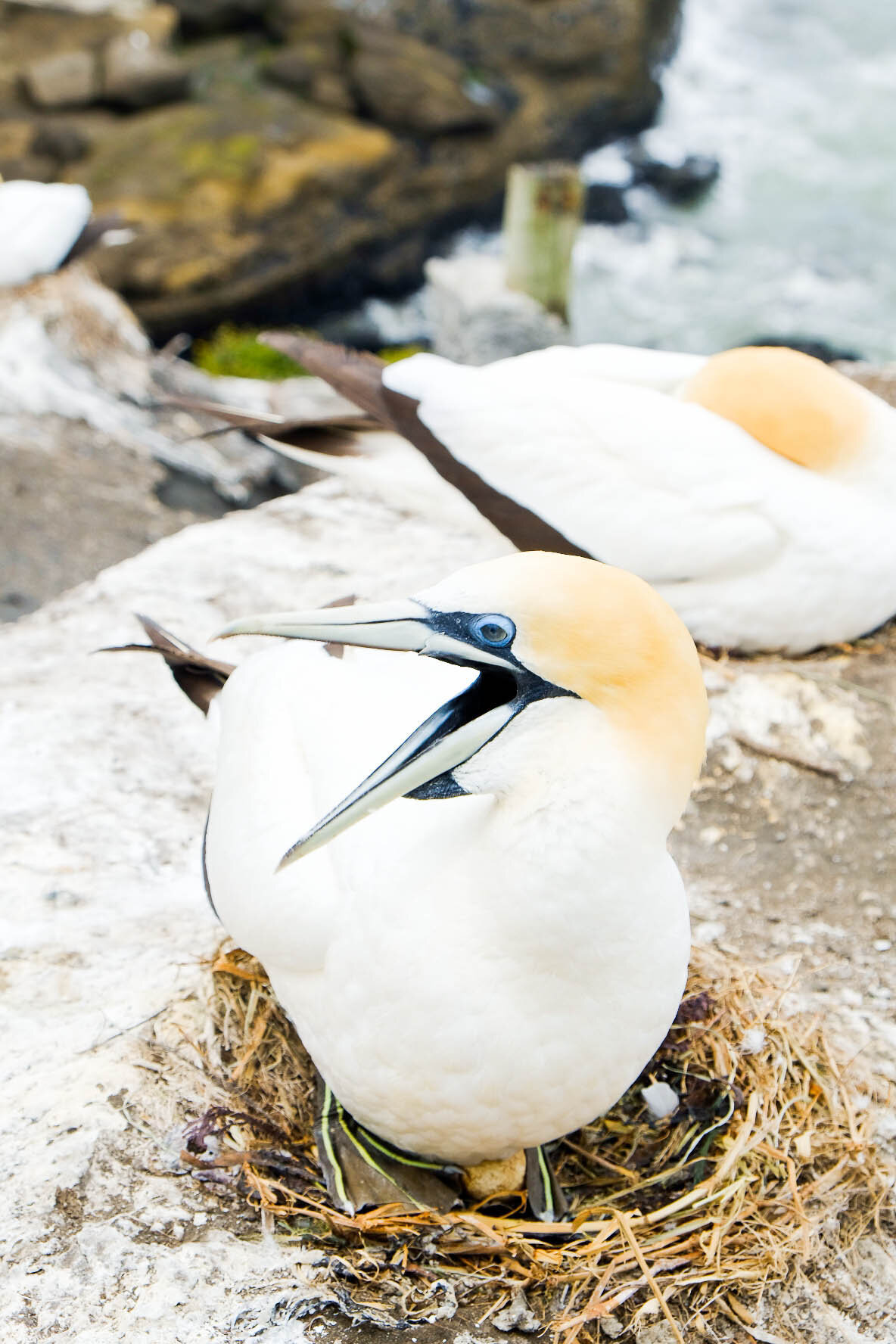 jacqueline_campbell_travel_photography_018-2