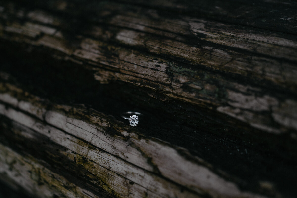 wedding ring sitting on log