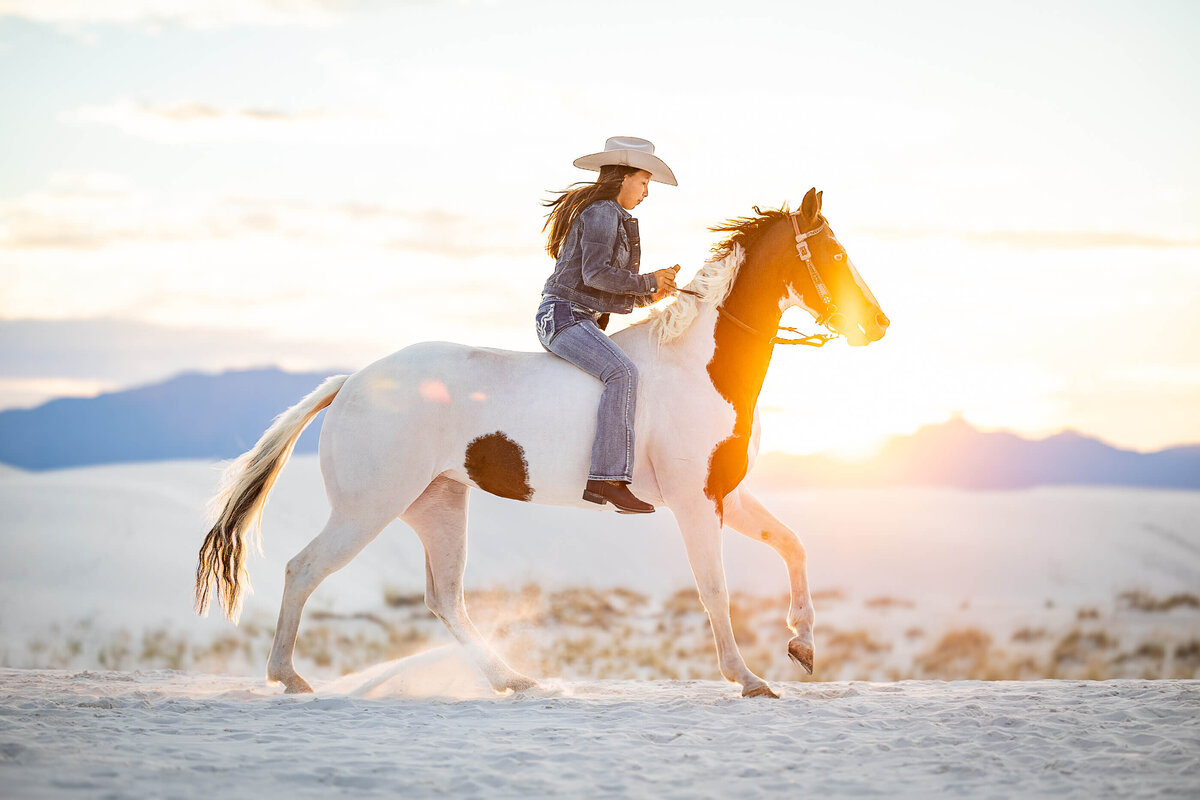 New-Mexico-Horse-Photographer-037