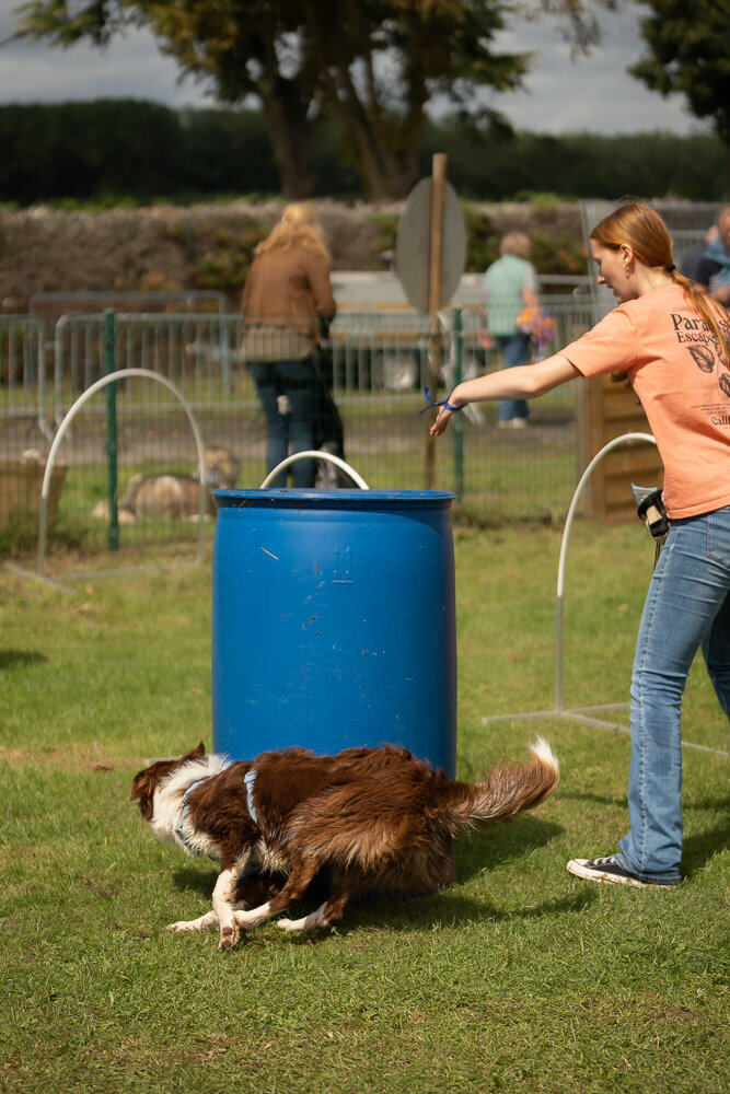ElkeFierensFotografie-03312