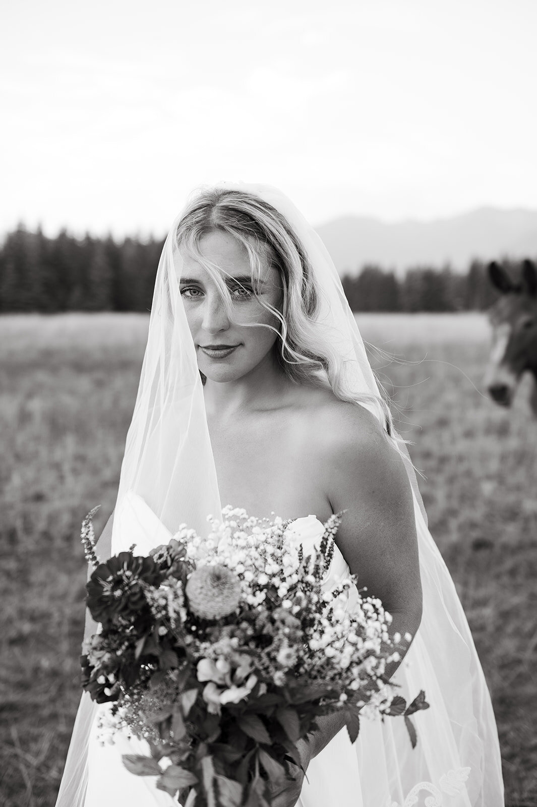 presley-gray-luxury-western-montana-wedding-8188