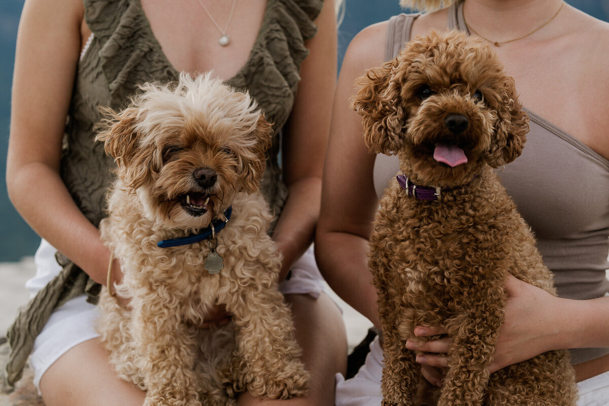 Family-photography-sydney-000-51
