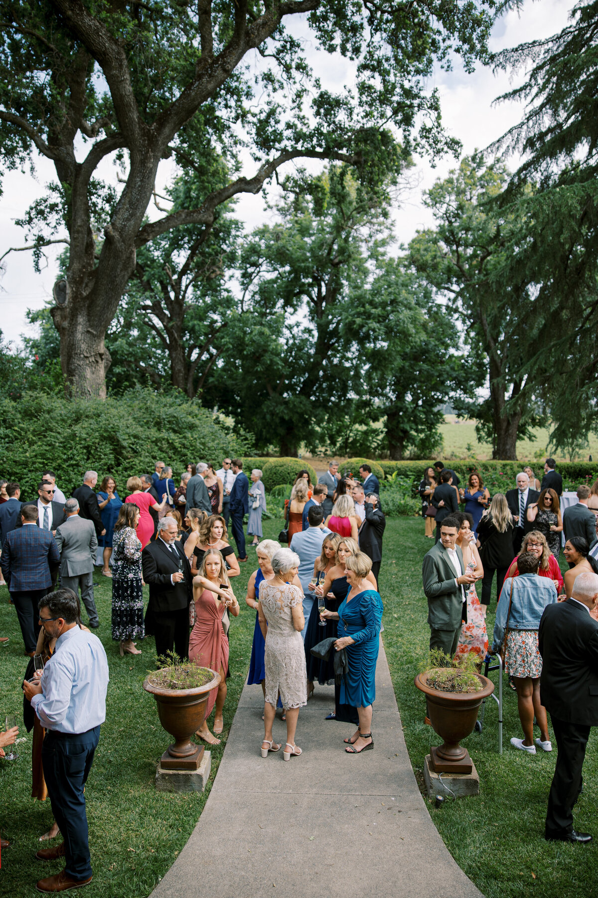 Park Winters Wedding Photo-60