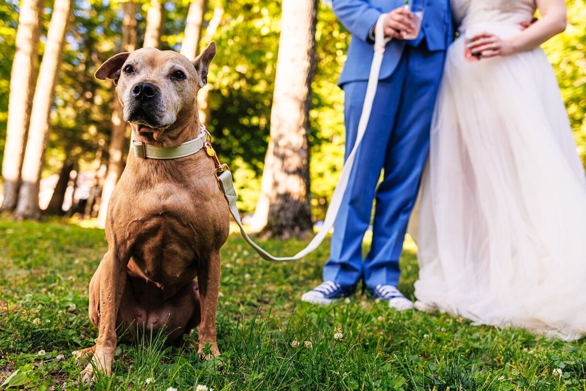 best-reading-pa-wedding-photography-jon-athans_5466