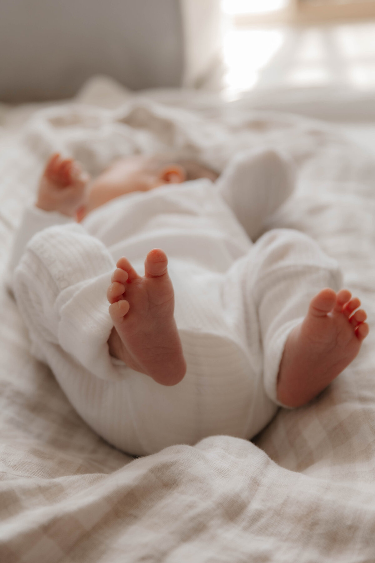newborn photography cairns