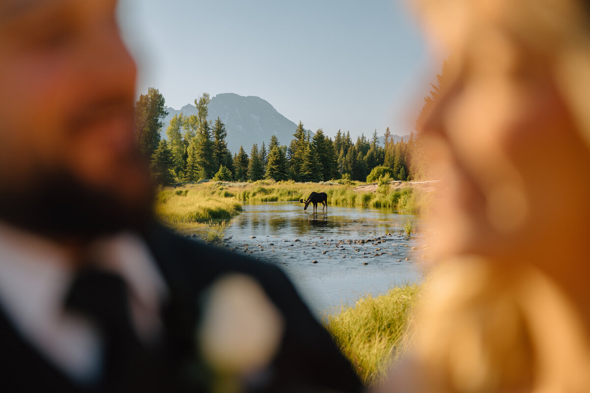 BillieFruitPhotography-josie+kennySNEAK-23