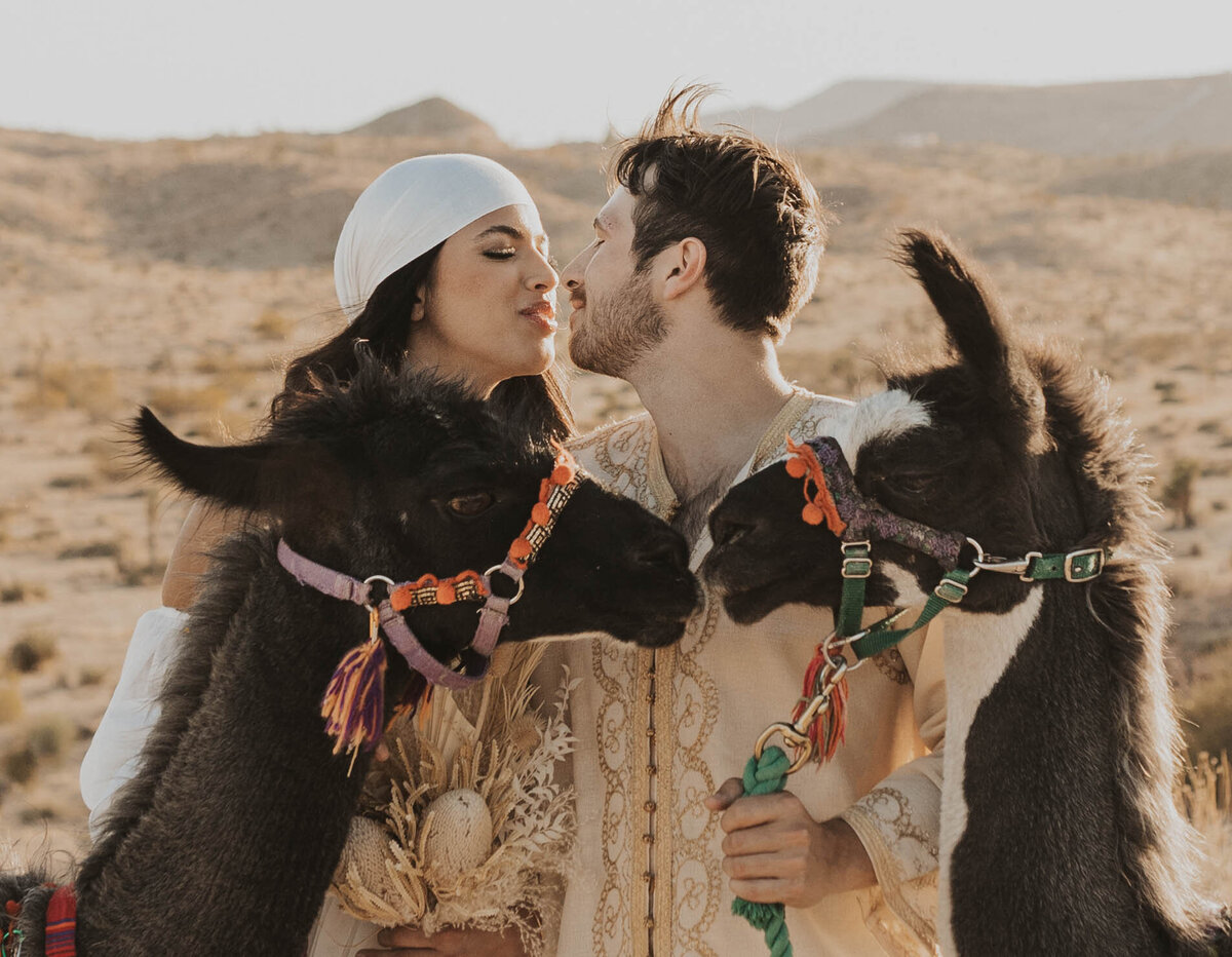 llamas and couples kissing